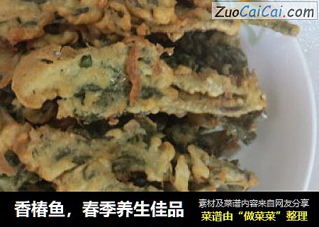 香椿鱼，春季养生佳品