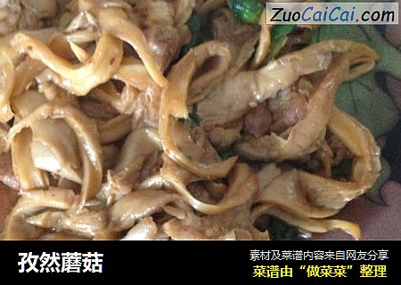 孜然蘑菇