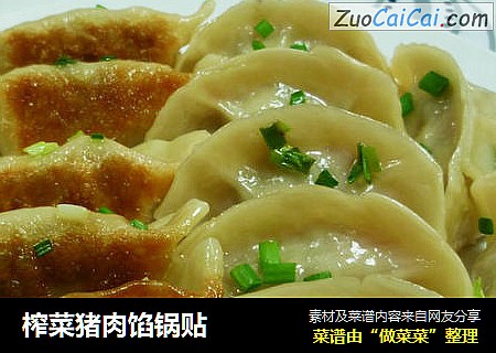 榨菜猪肉馅锅贴