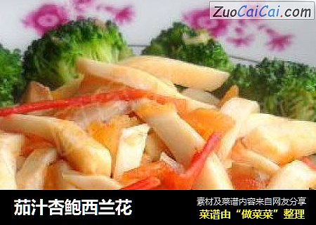 茄汁杏鲍西兰花