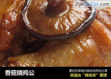 香菇烧鸡公