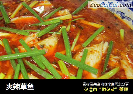 爽辣草鱼