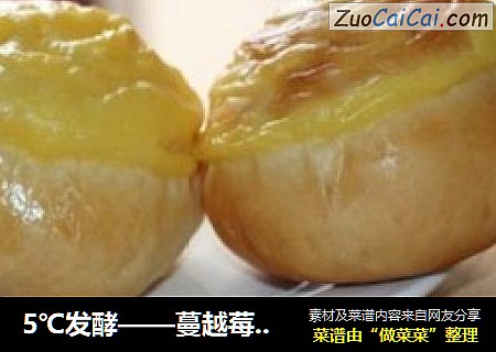 5℃发酵——蔓越莓面包
