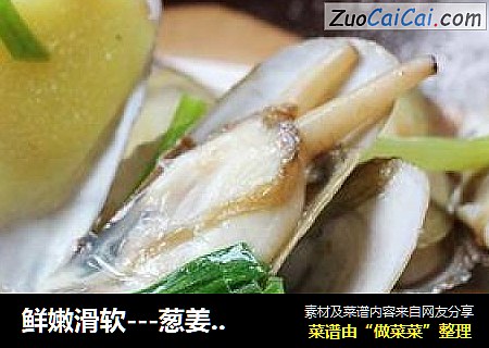 鲜嫩滑软---葱姜蛏子