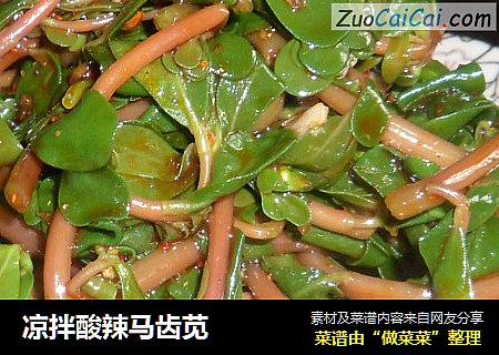 凉拌酸辣马齿苋