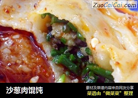 沙葱肉馄饨