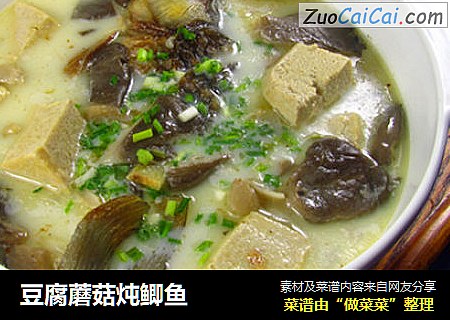 豆腐蘑菇炖鲫鱼