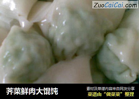 荠菜鲜肉大馄饨