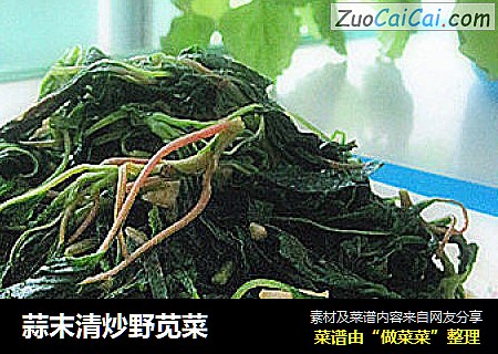 蒜末清炒野苋菜