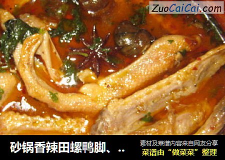 砂锅香辣田螺鸭脚、鸭翅