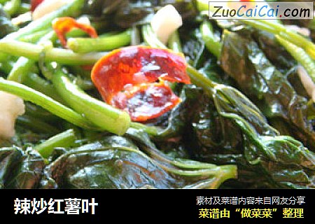 辣炒红薯叶