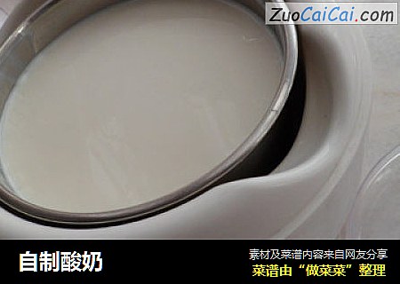 自制酸奶