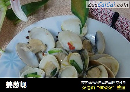 姜葱蚬