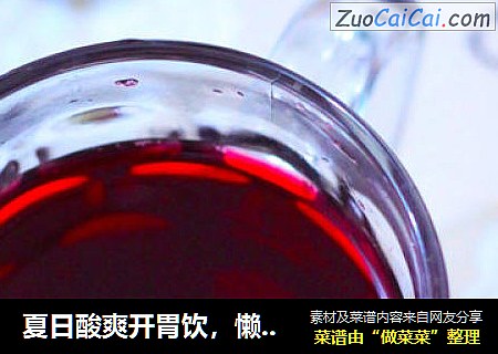 夏日酸爽开胃饮，懒人自制“洛神花茶
