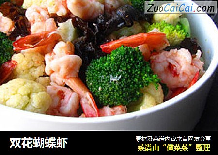 双花蝴蝶虾