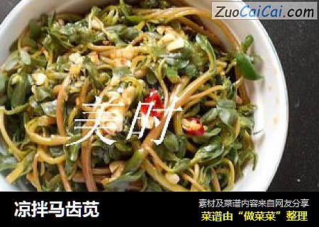 凉拌马齿苋