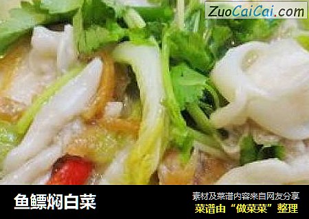 鱼鳔焖白菜