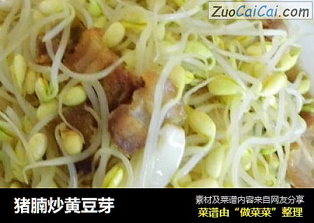 猪腩炒黄豆芽