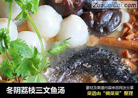 冬阴荔枝三文鱼汤