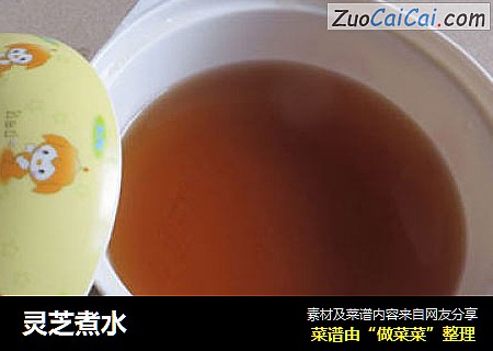 灵芝煮水
