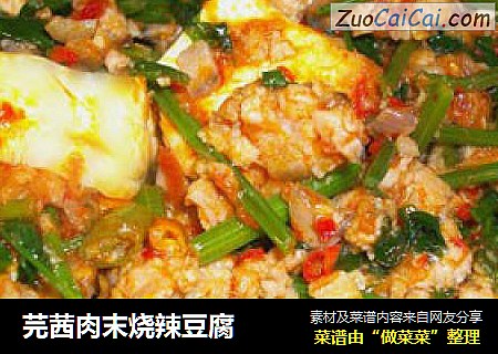 芫茜肉末烧辣豆腐