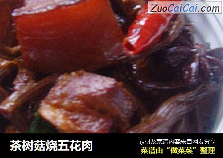 茶树菇烧五花肉