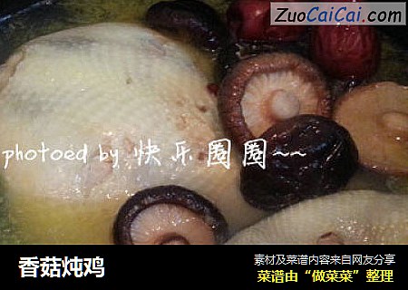 香菇炖鸡