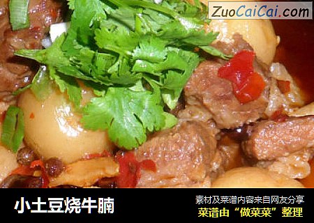 小土豆烧牛腩