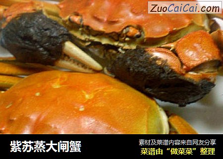 紫苏蒸大闸蟹