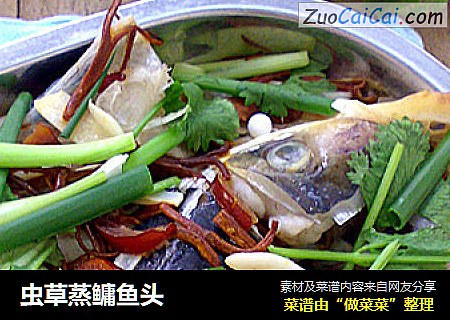 虫草蒸鳙鱼头