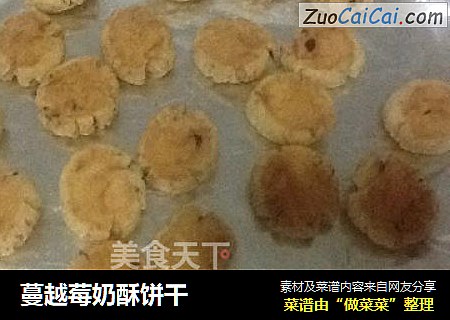 蔓越莓奶酥饼干