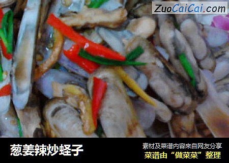 葱姜辣炒蛏子