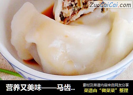 营养又美味——马齿苋菜干鲜肉水饺