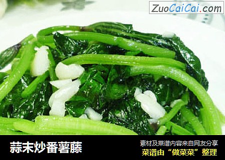 蒜末炒番薯藤