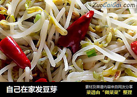 自己在家发豆芽