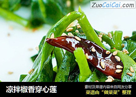 凉拌椒香穿心莲