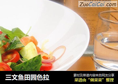 三文鱼田园色拉