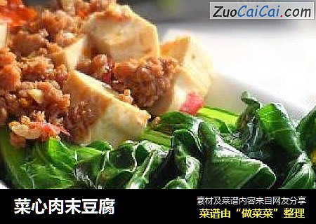 菜心肉末豆腐