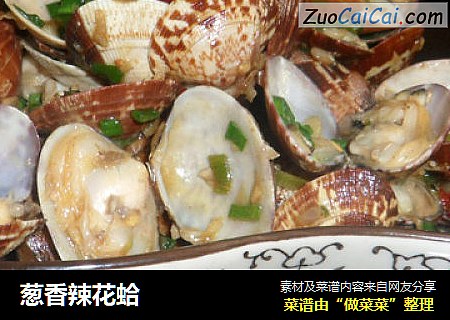 葱香辣花蛤