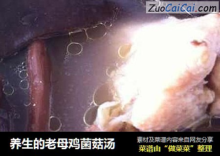 养生的老母鸡菌菇汤