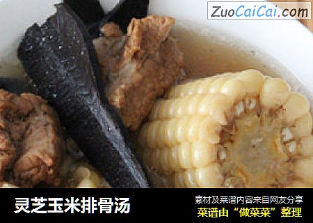 灵芝玉米排骨汤