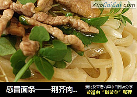 感冒面条——荆芥肉丝手擀面