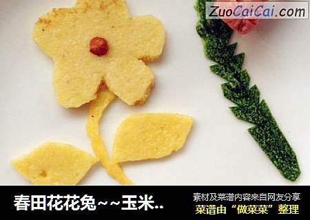 春田花花兔~~玉米白面饼