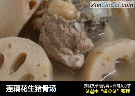 莲藕花生猪骨汤