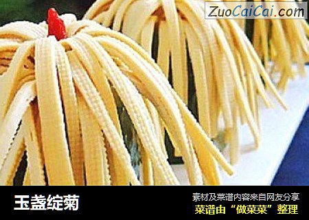 玉盏绽菊