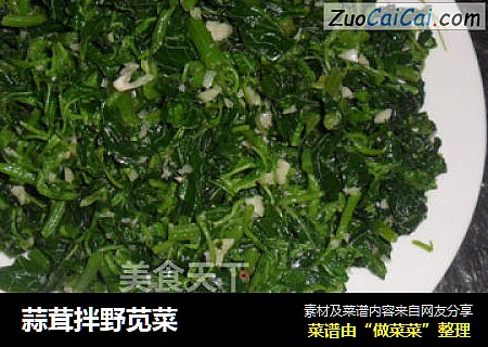 蒜茸拌野苋菜
