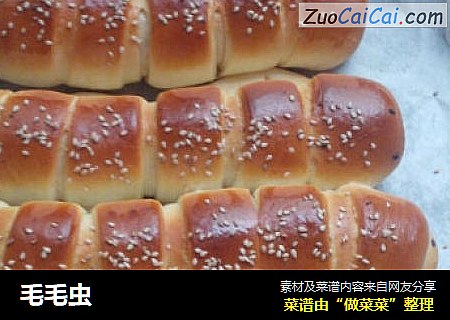 毛毛虫