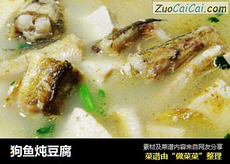 狗鱼炖豆腐