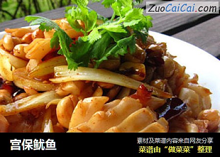 宫保鱿鱼