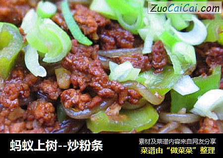 蚂蚁上树--炒粉条